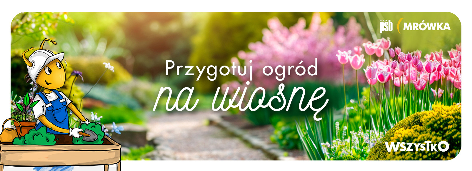 Grupa PSB mrowka PSB Mrówka Pińczów