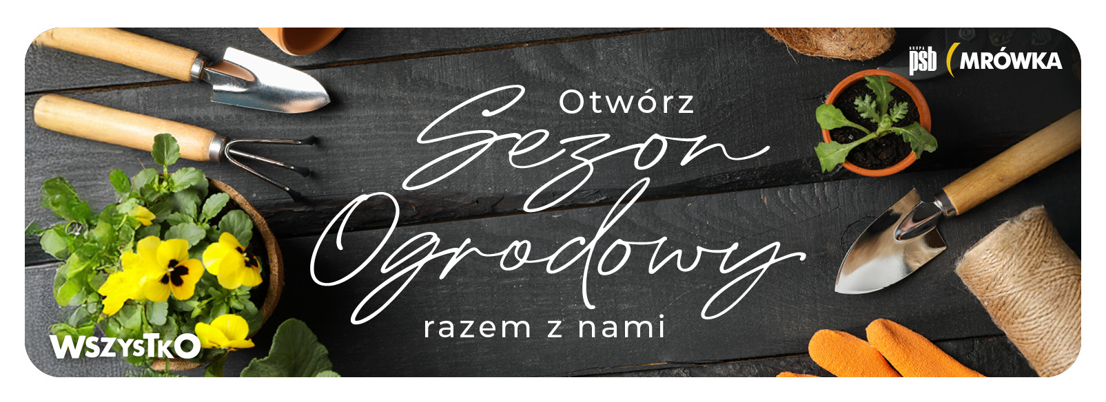 Grupa PSB mrowka PSB Mrówka Pińczów