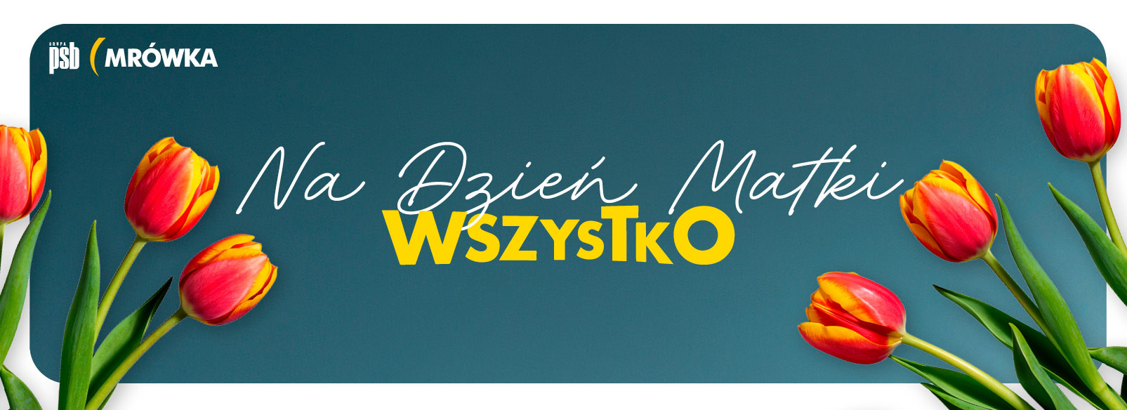 Grupa PSB mrowka PSB Mrówka Pińczów