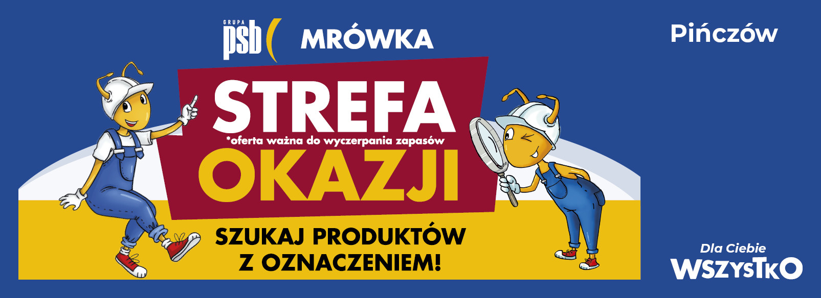 Grupa PSB mrowka PSB Mrówka Pińczów